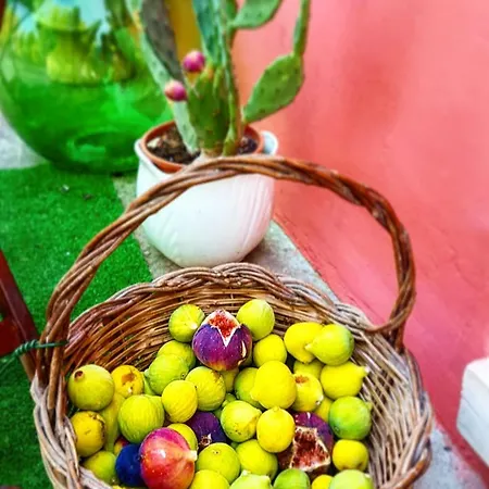 Di Maggiulli Alfieri Appartamento *