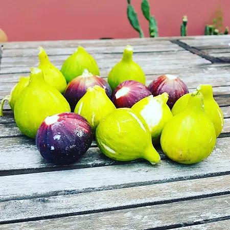 Di Maggiulli Alfieri Appartamento Lecce
